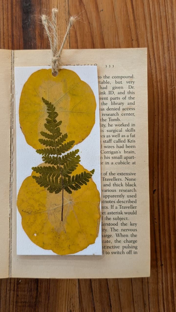 Glorious Fern