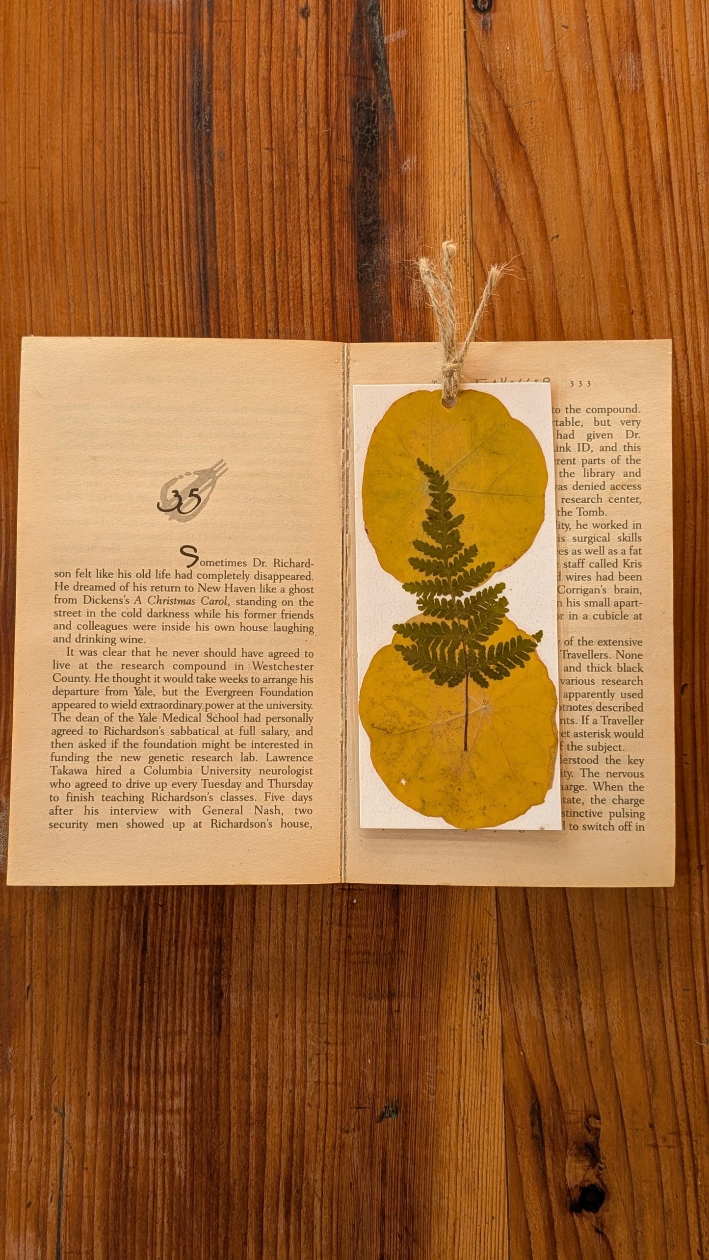 Glorious Fern