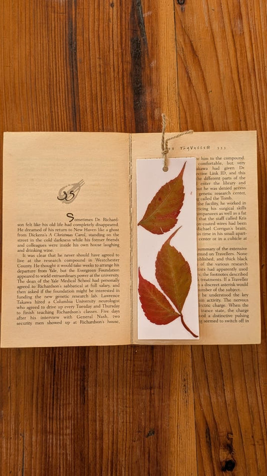 Warm Autumn